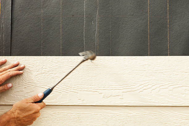 Best Custom Trim and Detailing for Siding  in Franklin Park, NJ
